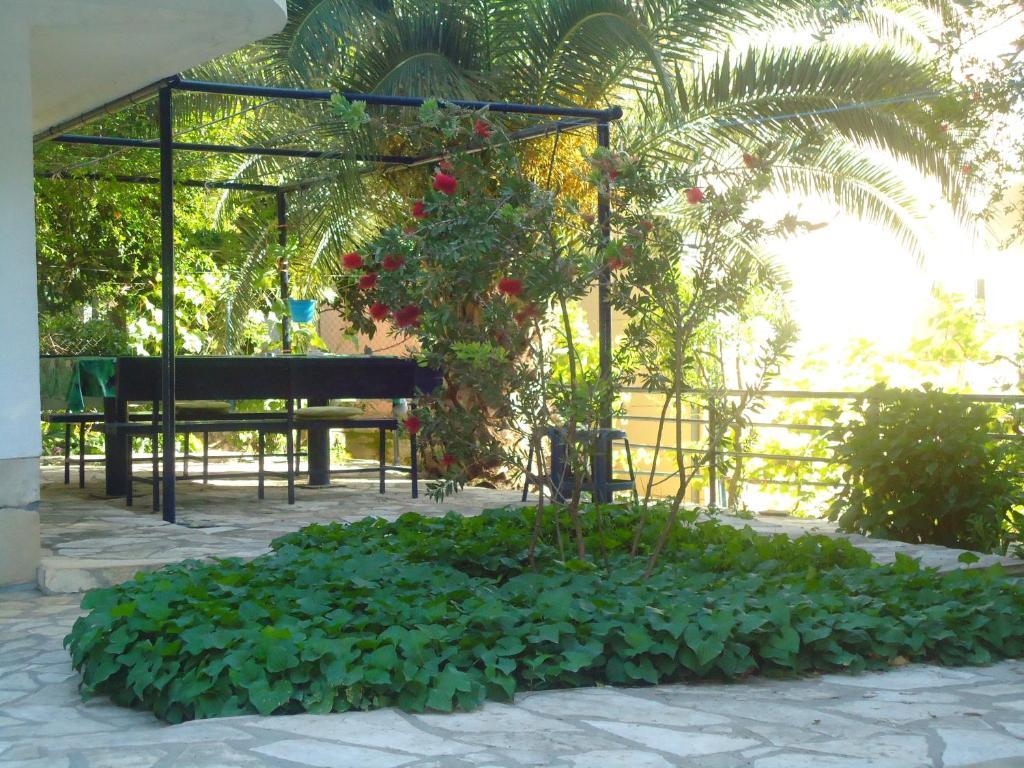 Apartments Villa Petranovic Budva Kültér fotó