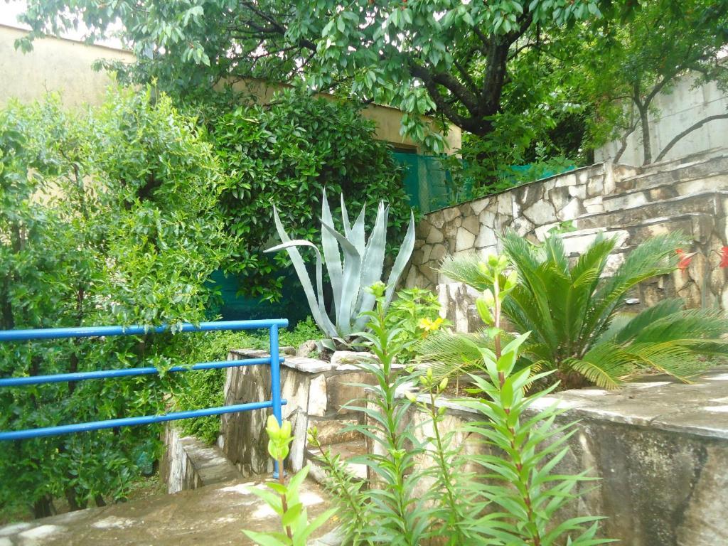 Apartments Villa Petranovic Budva Szoba fotó