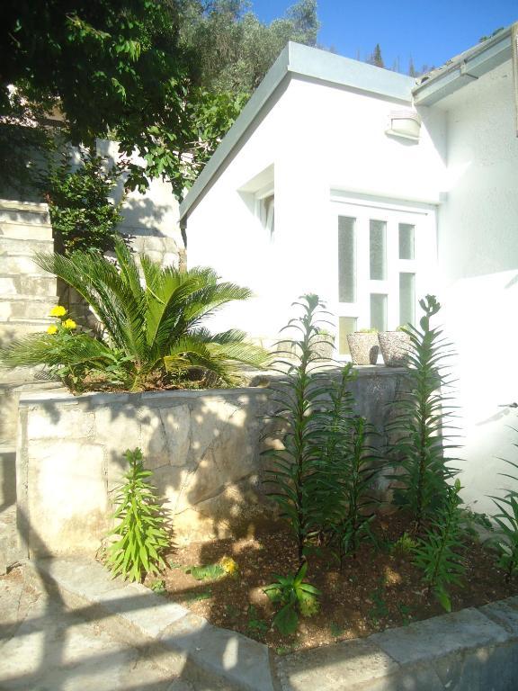 Apartments Villa Petranovic Budva Szoba fotó