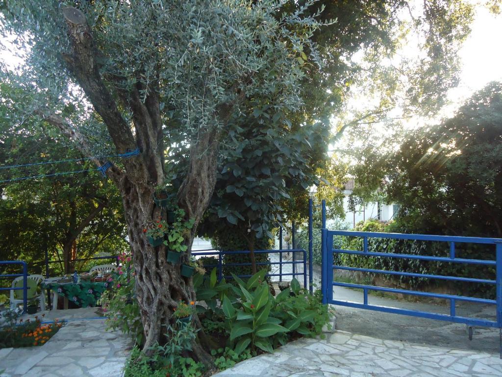 Apartments Villa Petranovic Budva Kültér fotó