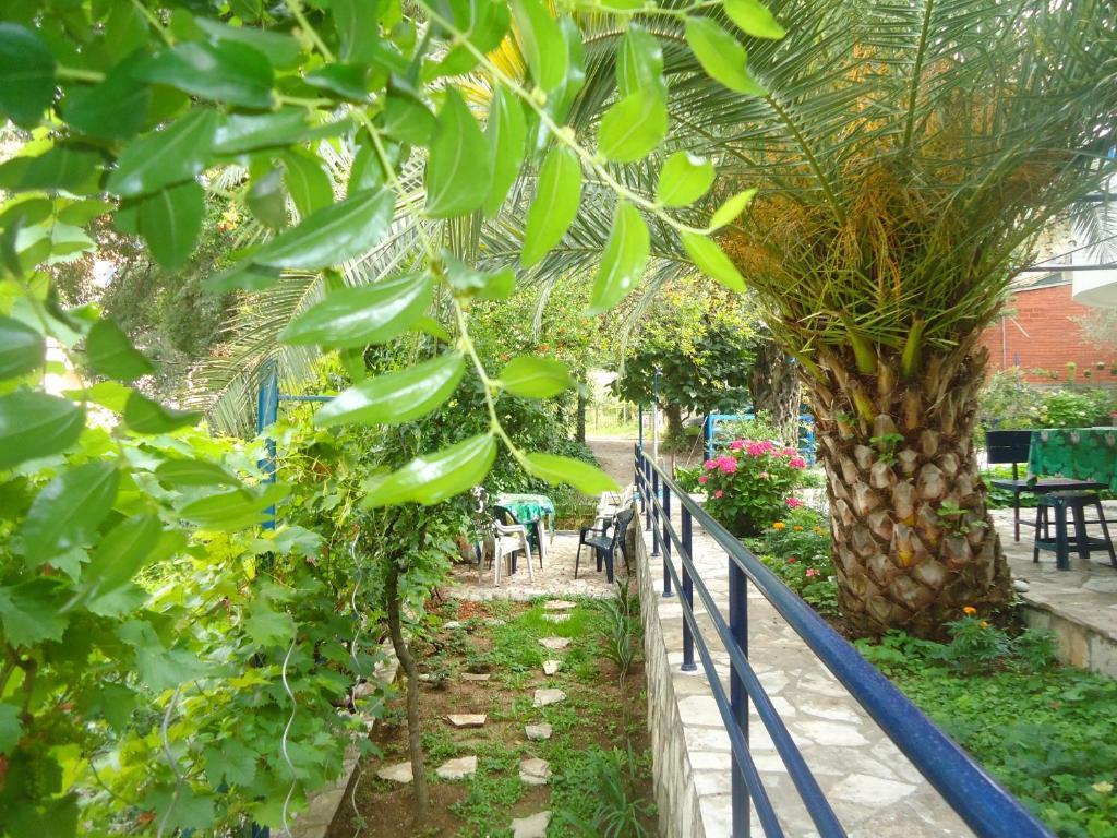 Apartments Villa Petranovic Budva Szoba fotó